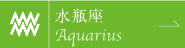 水瓶座