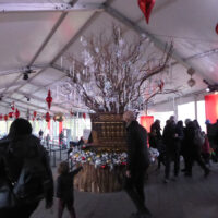 Kana2021.11.28.1