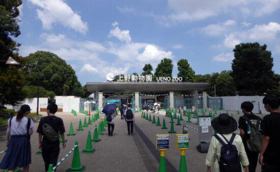 Kana2022.7.23.1