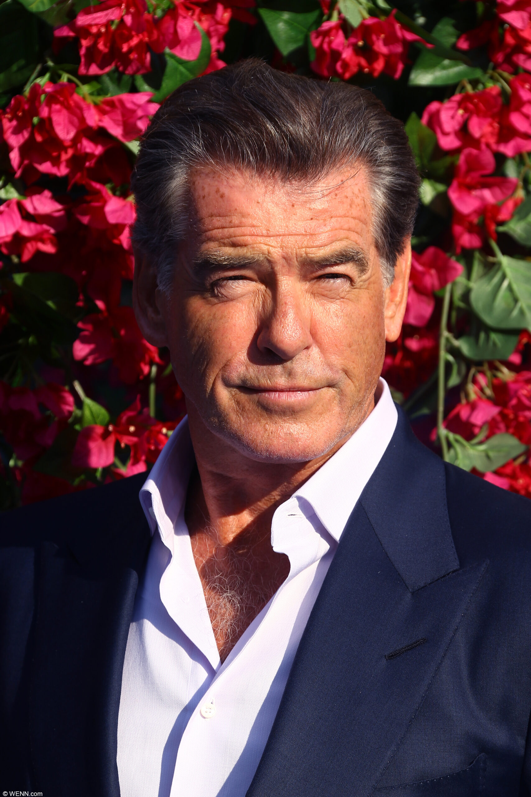OKJ_Pierce_Brosnan1_1