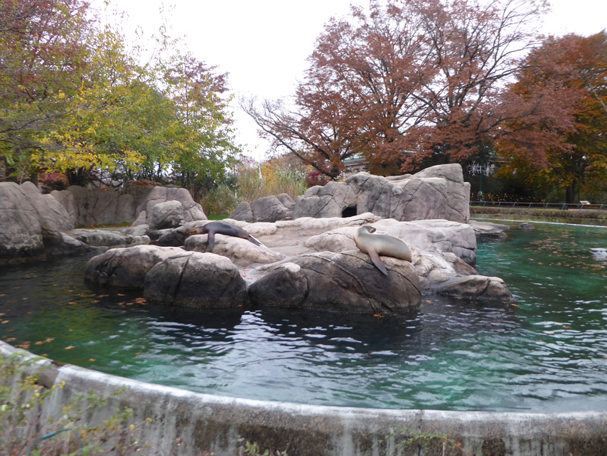 Kana2020.11.11.3.jpg